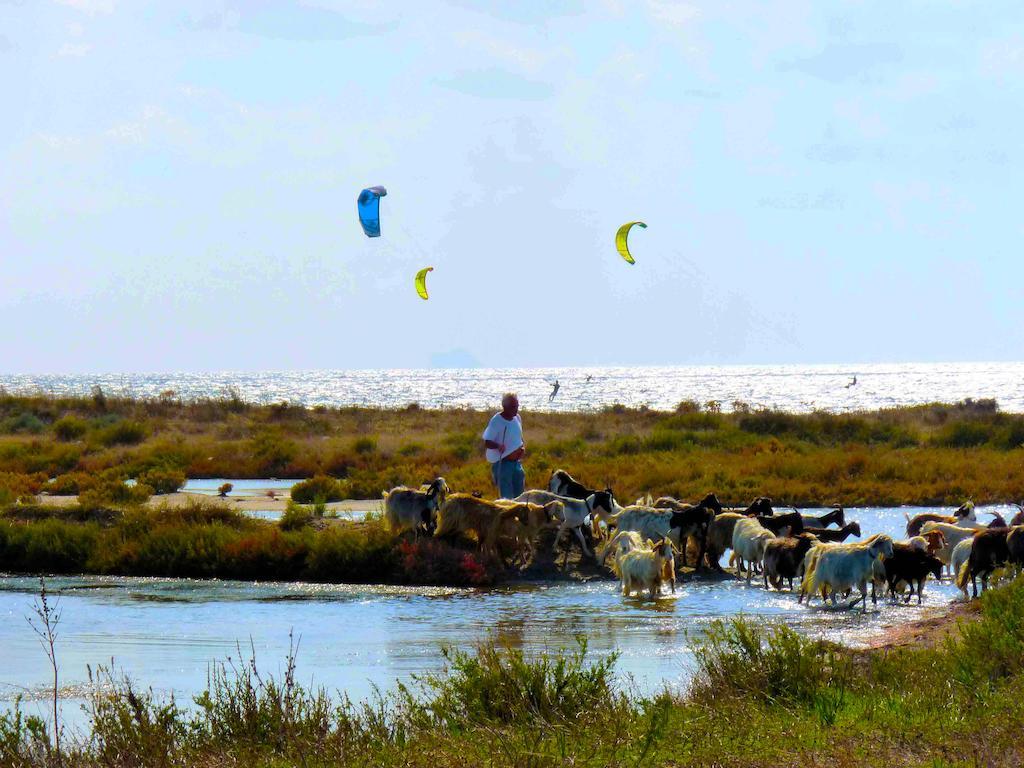 Kiteshomes Masainas المظهر الخارجي الصورة