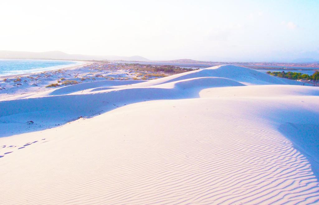 Kiteshomes Masainas المظهر الخارجي الصورة